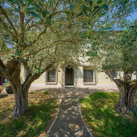 Chez Barnie Favoloso Privato In A 800mt Ingresso Fiera Apartmán Rimini