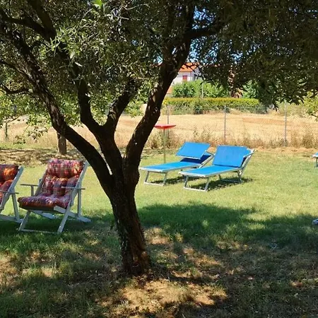 Chez Barnie Favoloso Privato In Appartamento